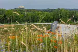 Sustainability Web Carousel Image_21