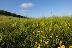 Sustainability Web Carousel Image_1